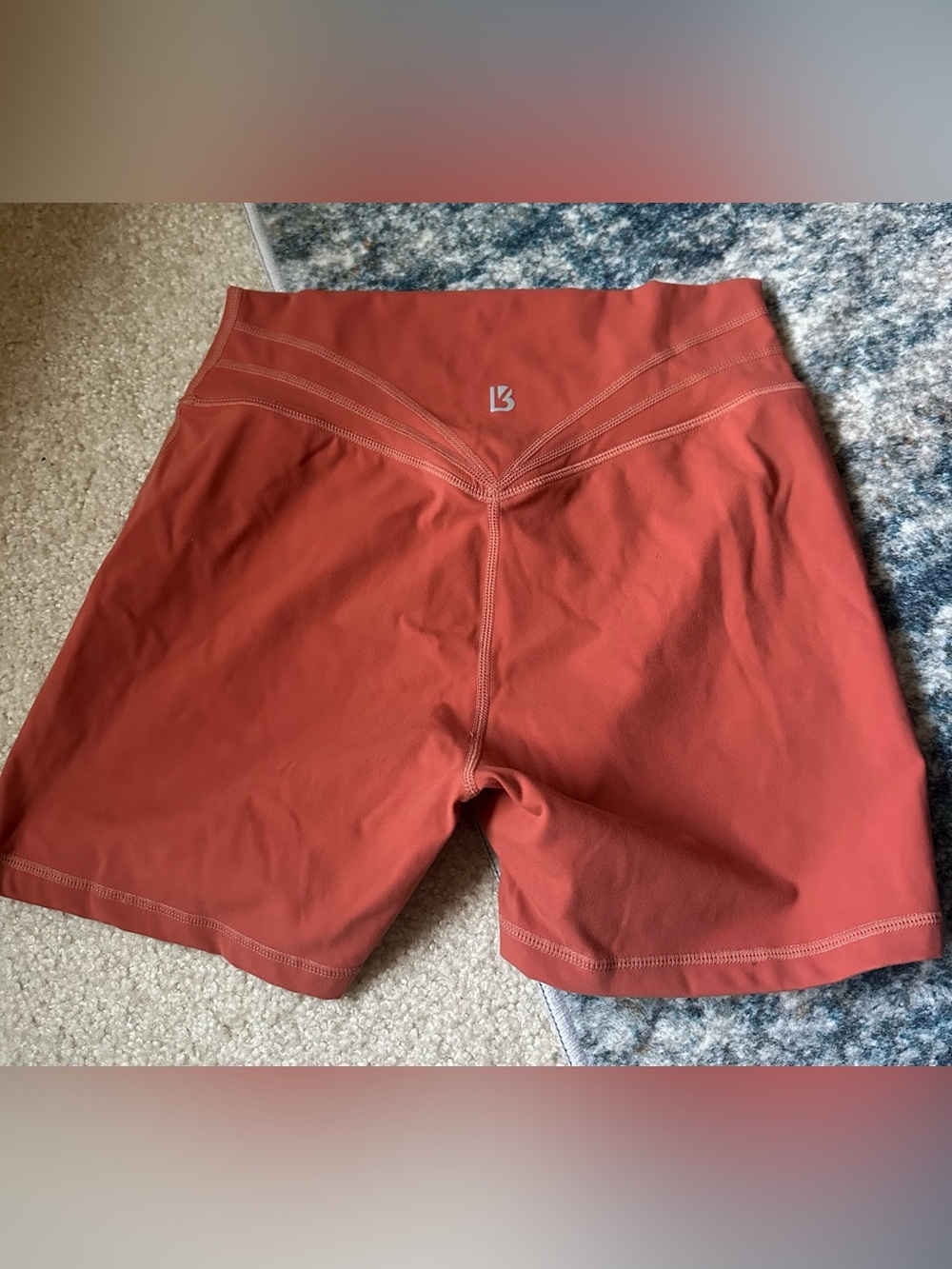 BuffBunny Canyon Orange Rust Legacy Shorts